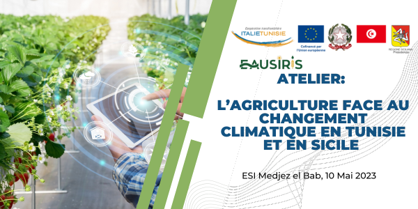 EAUSIRIS organise un atelier autour de l’agriculture face au changement climatique en Tunisie et en Sicile